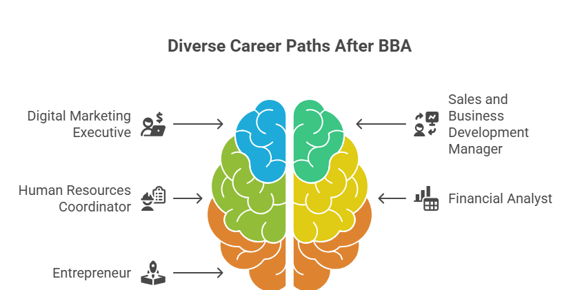 Top Career Options After BBA in 2025