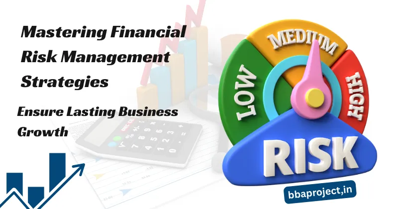 Mastering Financial Risk Management Strategies