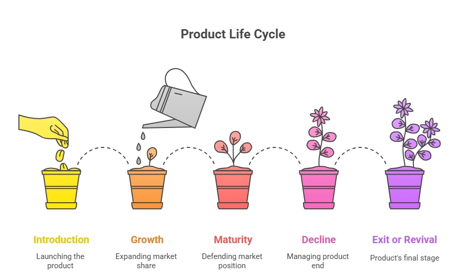 Product Life Cycle