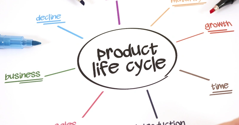 Product Life Cycle