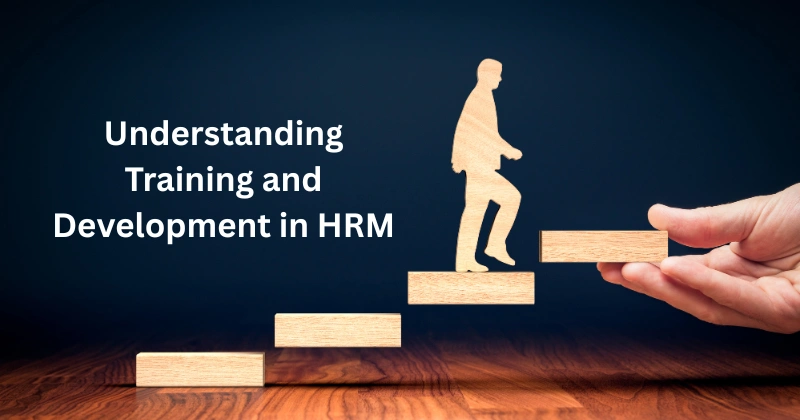 training and development, difference between training and development, training and development in hrm,