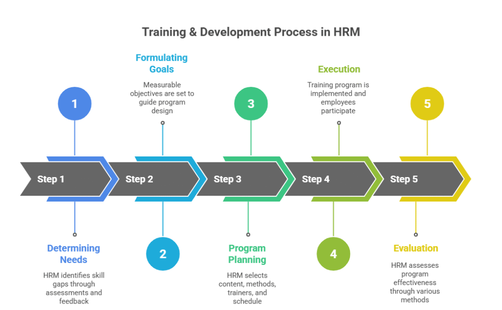 Training & Development Processes in Human Resources Management